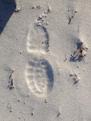海滩, 沙子, 痕迹, 沙海中的足迹, 鞋子, 男性, 足迹