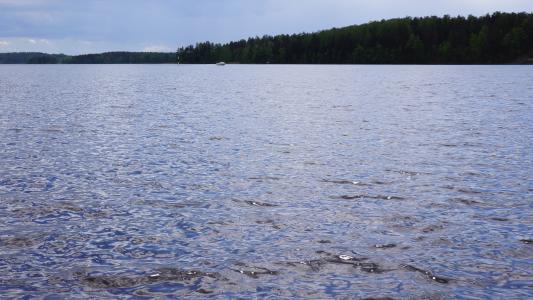 芬兰语, 湖, 海滩, 对岸, 水, 蓝色, 自然