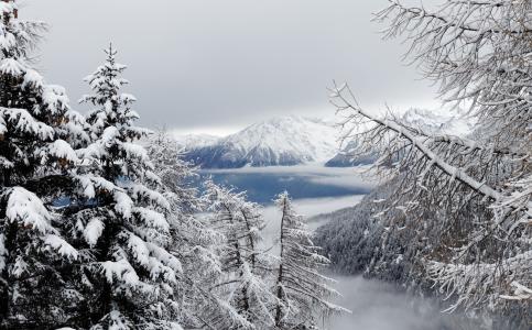 冬天, 雪, 雾, 森林, 景观, 山脉, 南蒂罗尔