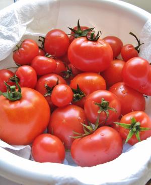 西红柿, 食品, 收获, 红色, 花园, 园艺, 烹饪