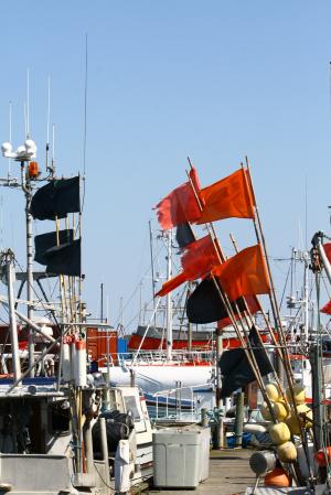 渔船, 捕鱼业, 浮标, 旗帜, 海港大气