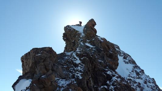 爬上, 高山攀登, 登山者, 安全, 攀岩, 岩石, 峭壁