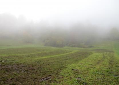 秋天, 雾, 可耕, 自然