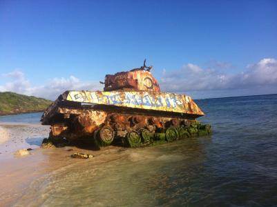 坦克, 海滩, 波多黎各, 蛇, 加勒比海, 假日, 蓝色