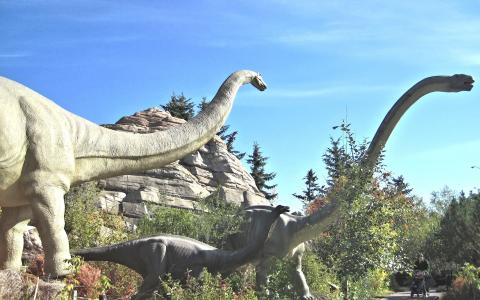 恐龙系列, 卡尔加里艾伯塔省, 动物园, 加拿大, 动物