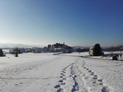 冬天, 雪, 景观, 寒冷, 白色, 走了, 施瓦岑贝格