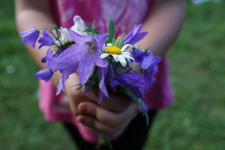 花, 斯特劳斯, 紫色, 手, 儿童, 给, 礼物