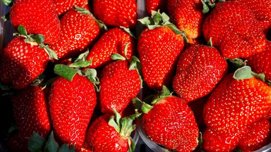草莓, 水果, 春天, 食品, 新鲜, 红色, 成熟