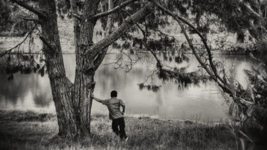 湖, 孤独, 黑色和白色, 自然, 孤独, 在树下, 马达加斯加