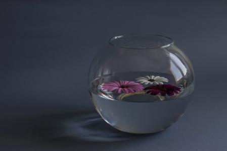 组成, 花, 玻璃器皿, 水, 静物, 装饰, 玻璃-材料