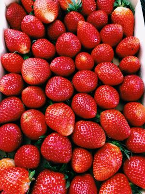 丰收草莓季