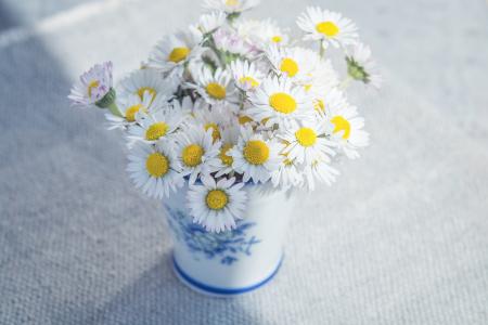 花, 黛西, 白色, 野花, 花瓶, 花束, 表