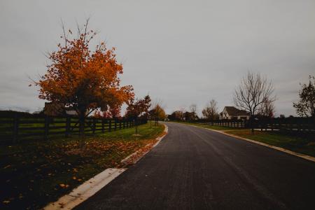 空, 道路, 秋天, 叶子, 路径, 栅栏, 绿色