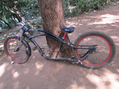 自行车, 自行车, 年份, 老, 红色, 黑色, dandeli