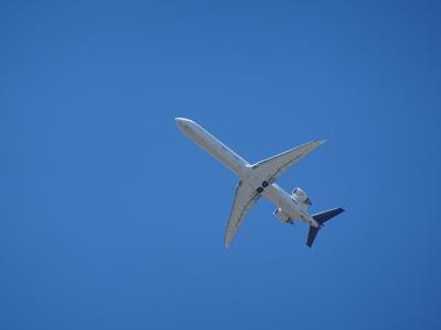 飞机, 旅客机, 天空, 蓝色, 技术, 详细, 翼