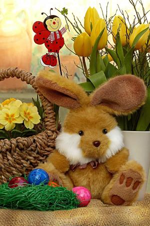 复活节兔子, 德科, 静物, 复活节彩蛋, 春天的花朵