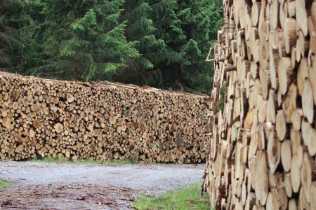木材, holzschlag, 木材工业, 堆叠, 树木, 木柴, 日志