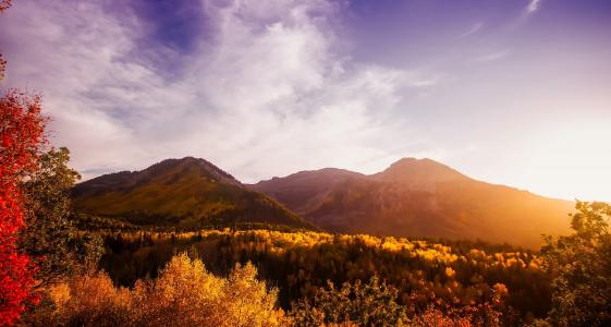 犹他州, 全景, 秋天, 秋天, 多彩, 山脉, 山谷