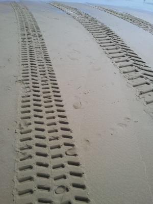 海滩, 车胎, 痕迹, 海, 沙海中的足迹, 荷兰, 北海