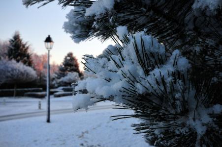 雪, 景观, 奥罗拉, 早上, 反射