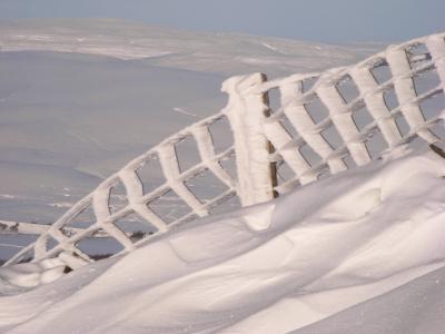 雪, 栅栏, 冬天, 感冒, 弗罗斯特, 户外, 景观