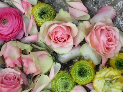 玫瑰, 粉色, 生日, 祝贺, 花, 色彩缤纷, 爱
