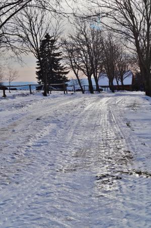 冬天, 雪, 冰, 道路, 冰冷