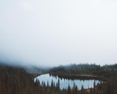 空中, 摄影, 森林, 湖, 树, 雾, 反思
