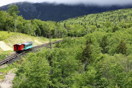铁路, 火车, cog, 山, 新罕布什尔州, 伍兹, 森林
