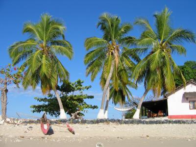 马达加斯加, 独木舟, 渔夫, 海滩, 海, 热带, 椰子