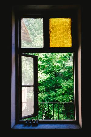 窗口, 盾牌, 玻璃, 绿色, 植物, 自然, 外面