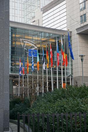 欧盟, 布鲁塞尔, 议会, 旗帜, 欧洲, 联盟