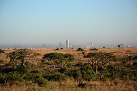 内罗毕, 肯尼亚, 非洲城市景观, 稀树草原