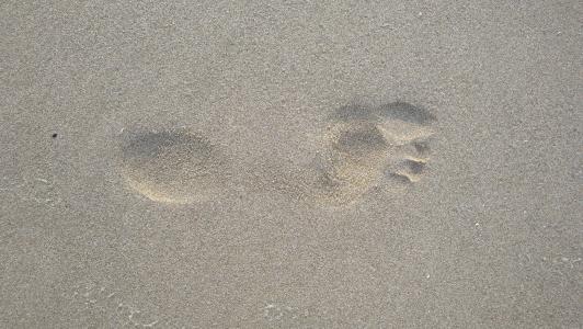 沙子, 足迹, 脚, 海滩