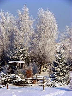 冬天, 村庄, 花园露台, 弗罗斯特, 雪, 自然, 树