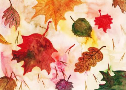 叶, 枫叶, 红叶, 秋天的叶子, 秋天的落叶, 橡树叶, 水彩
