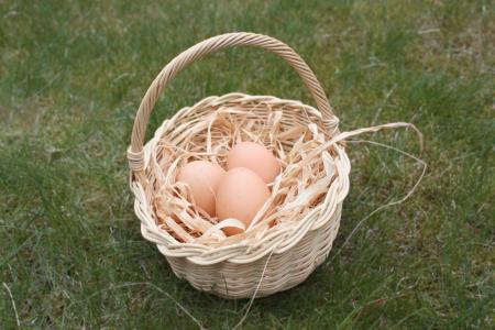 复活节, 鸡蛋, 购物篮, 鸟巢, 复活节彩蛋, 复活节的问候, 脆弱