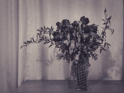 玫瑰, 花, 黑色和白色, 表, 花束, 死, 花瓶