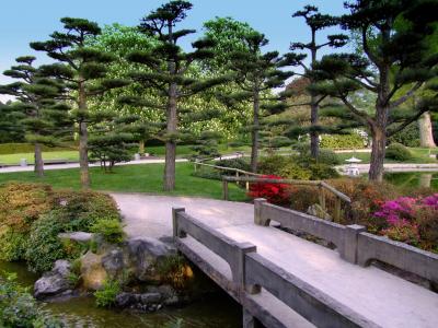 景观, 日本花园, 花园, 公园, 桥梁, 杜塞尔多夫, 北公园