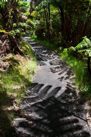 线索, 阴影, 徒步旅行, 路径, 蕨类植物, 夏威夷, 夏威夷火山
