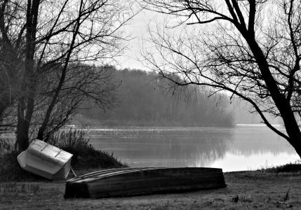 小船, 水, 黑色和白色, 景观, 回水, 自然, 湖
