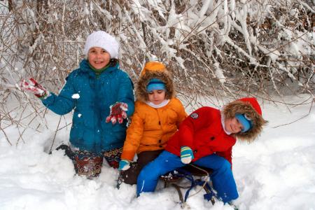 双胞胎, 兄弟, 姐姐, 雪, 戏剧, 雪橇, 冬天