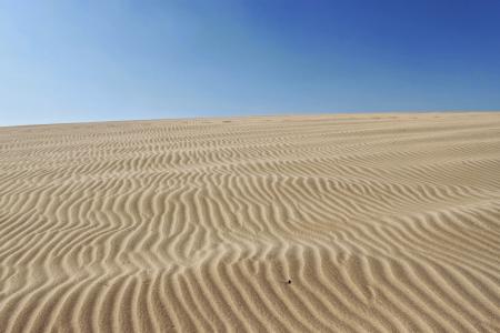 沙漠, 空气, 干旱, 沙子, 沙丘, 户外, 自然