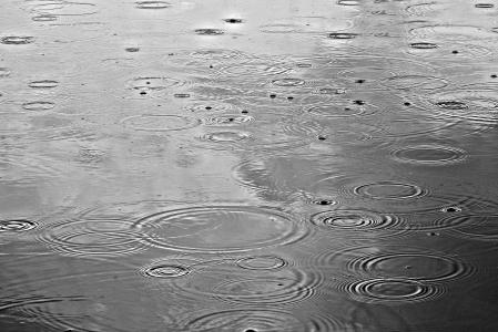 雨, 雨滴, 水, 雨在水, 池塘, 水滴, 下降