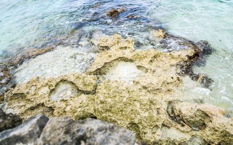 珊瑚, 水, 岩石, 海, 热带, 礁, 异国情调