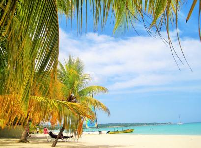 华丽, 牙买加, 棕榈树, 海滩, 典型牙买加, 天堂, 异国情调