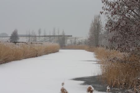 景观, 雪, 冬天, 冬季景观, 水, 河