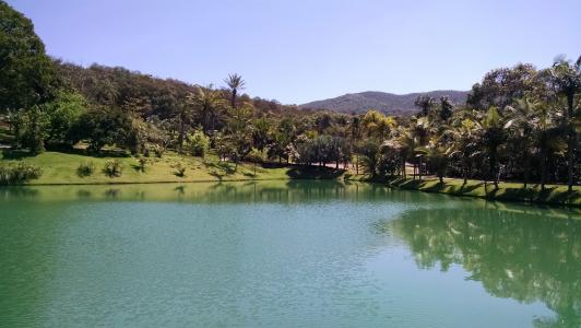 池塘, 自然, 绿色, 植被, inhotim, brumadinho, 博物馆