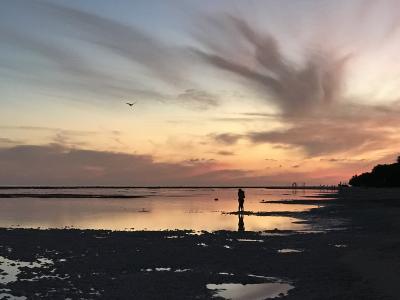 日落, 马尔代夫, 天空, 海滩, 异国情调, 和平