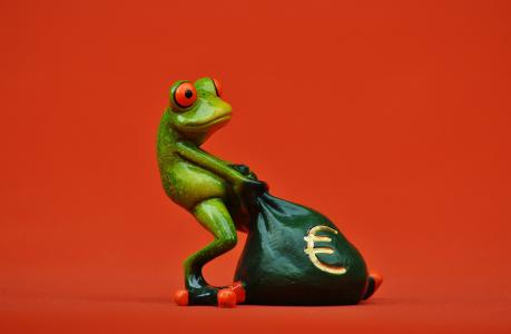 青蛙, 钱, 欧元, 袋, 钱袋子, 有趣, 可爱